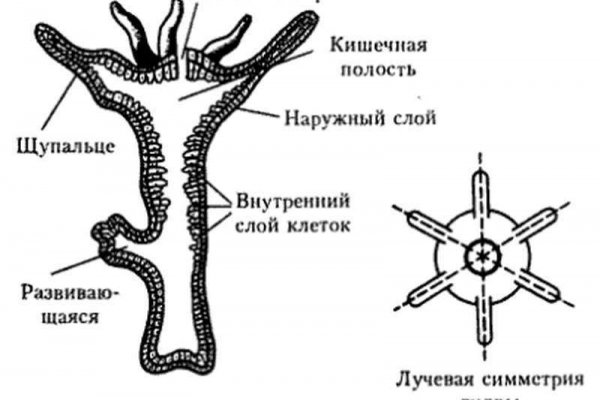 Что делать если забанили на блэкспрут