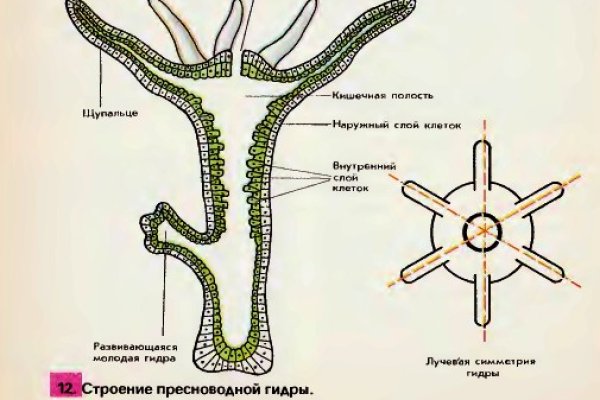 Ссылка на сайт кракен in.kraken6.at kraken7.at kraken8.at